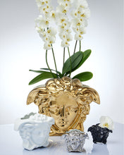 Rosenthal Versace Medusa Grande Vase Silver
