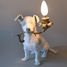 The Wildest & Most Iconic Design Dog Rio Lamp
