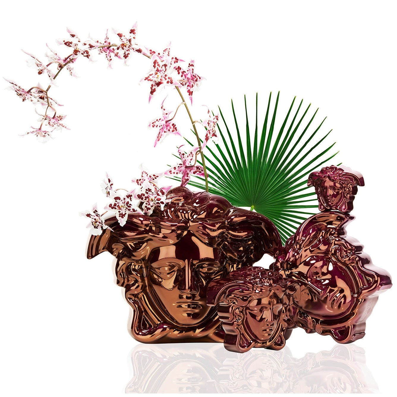 versaceベルサーチ　ローゼンタール　メドゥーサ浮彫り　陶器　花瓶　フラワー Rosenthal Versace Medusa Grande Vase Fuchsia 6