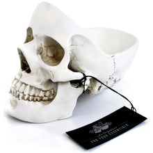 White skull shaped desk organizer with open skull for holding extra paraphernalia. 