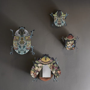 Wall Decorative Beetle Charlie