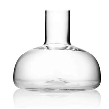 Winebreather Wine Decanter, Carafe