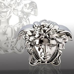 Rosenthal Versace Medusa Grande Vase Silver – Speranza Design Gallery